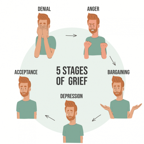 5 stages